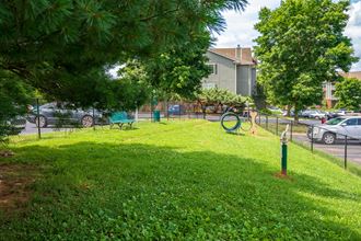 Fenced-In Dog Park