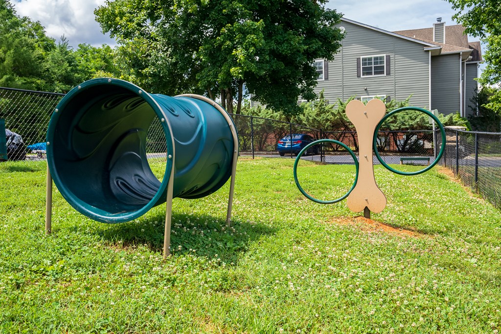 Play Obstacles At The Dog Park