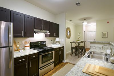 Kitchen with Dark Cabinets and Stainless Steel Appliances