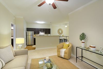 Open Concept Living Room, Kitchen & Dining Room Area