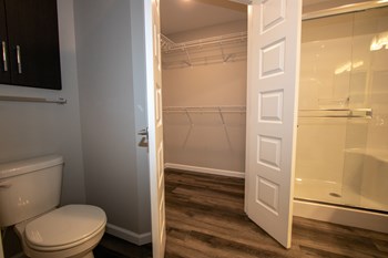 Walk-In Closet Attached To The Bathroom - Photo Gallery 42