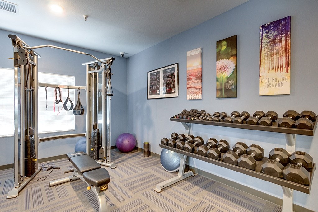 the preserve at ballantyne commons fitness room with weights