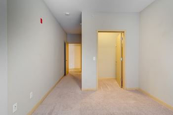 Bedroom With Walk-In Closet