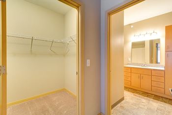 Spacious Walk-In Closets
