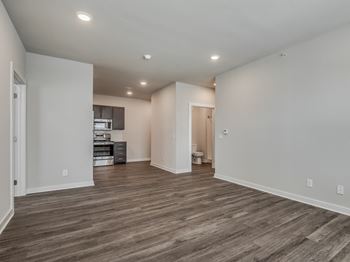 Spacious Living Area With Wood-Style Flooring