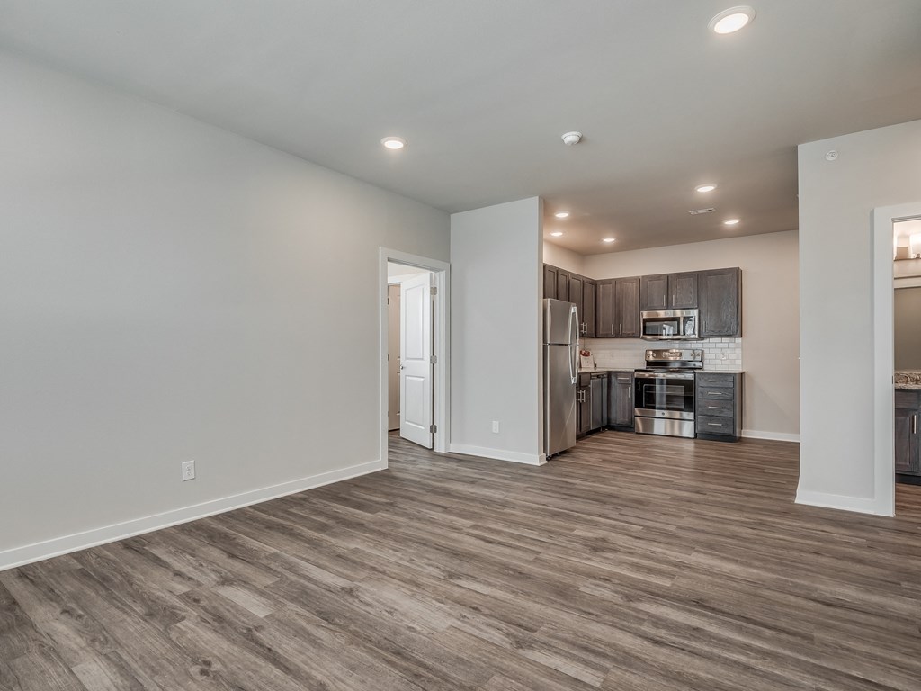 Spacious Living Area With Wood-Style Flooring
