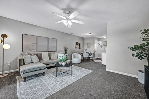 A living room with a grey sofa and a grey rug.