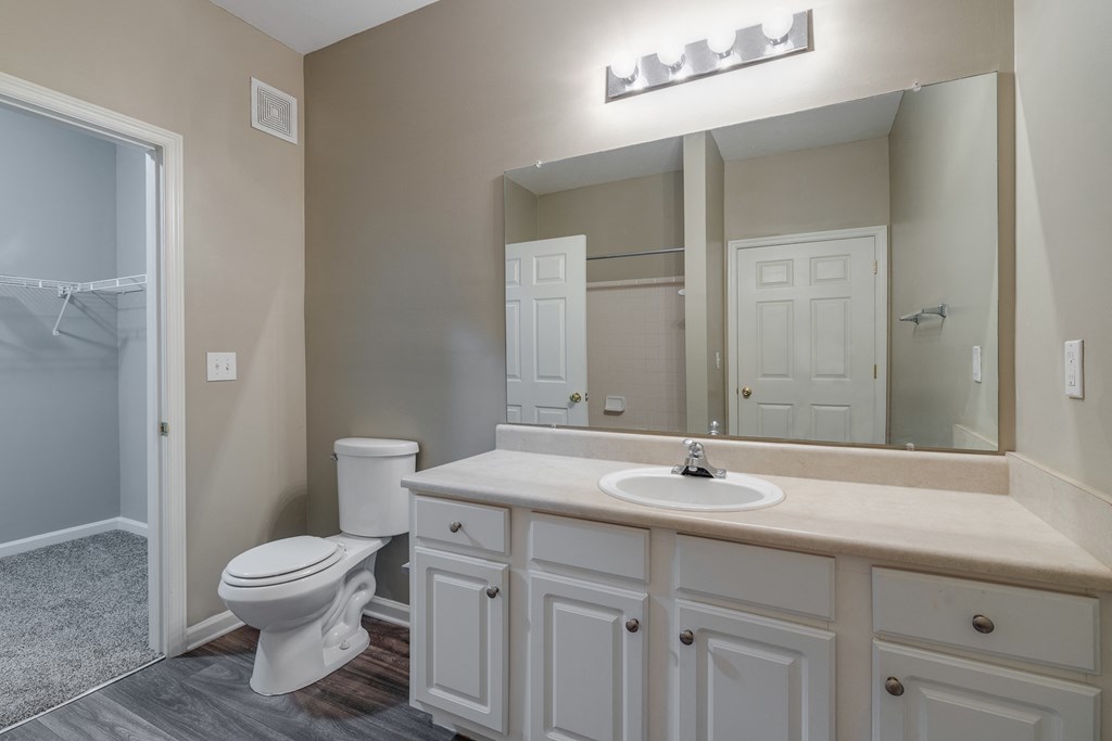 Large Bathroom Vanity