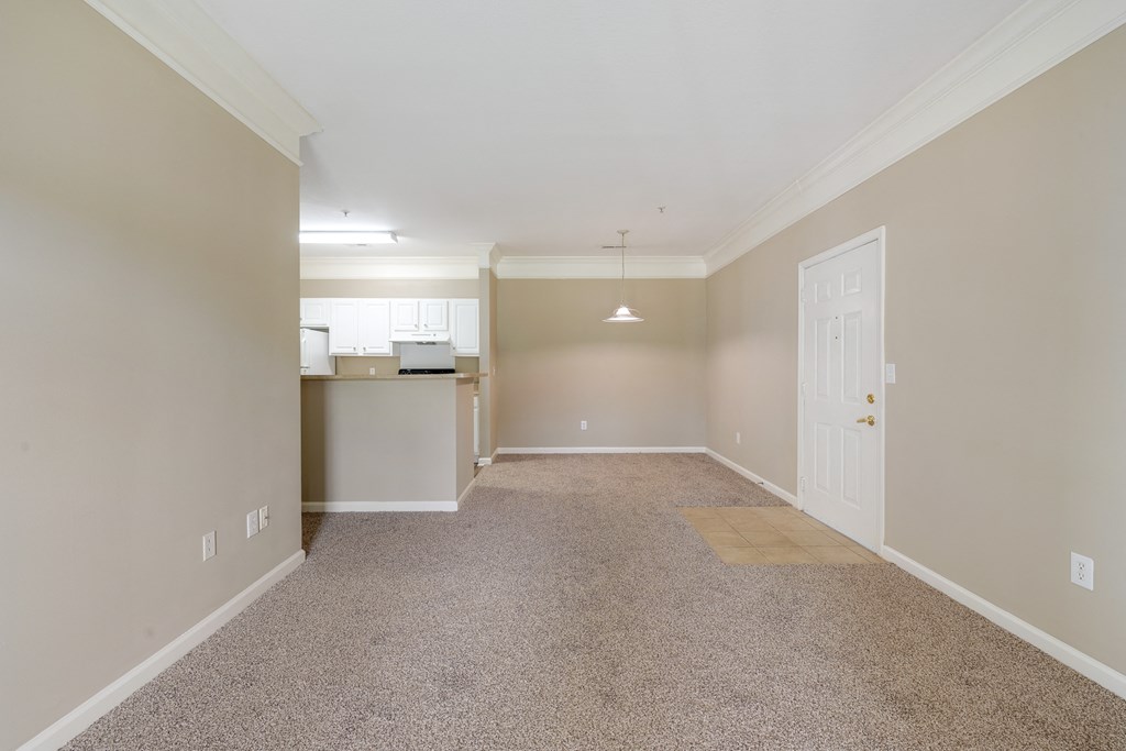 Open Concept Living Room Dining Area, and Kitchen
