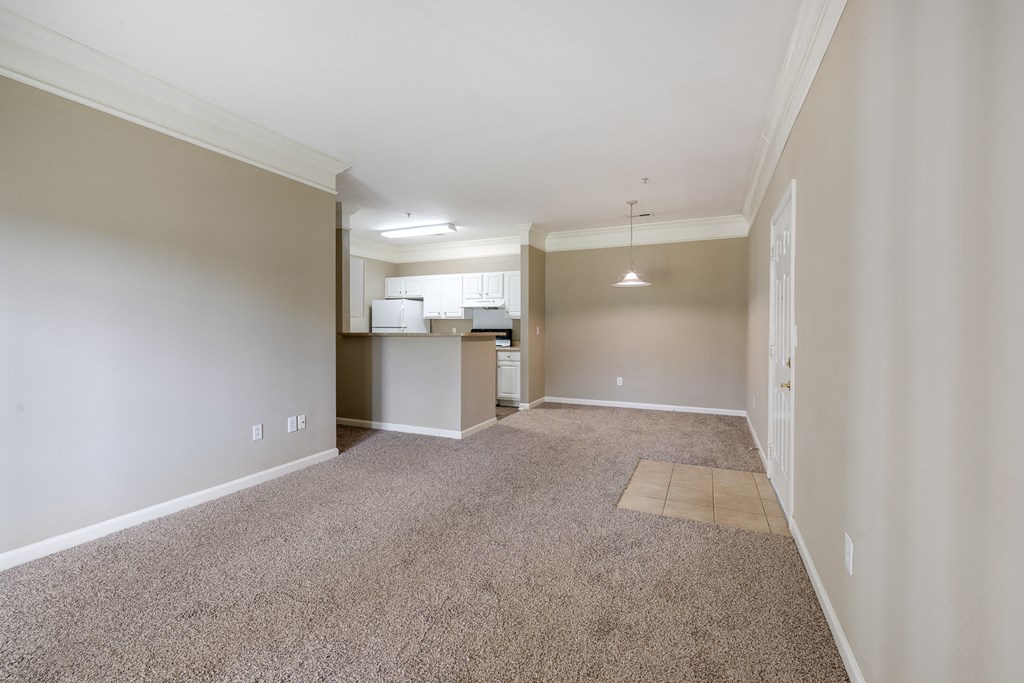 Carpeted Living Room With Light Grey Walls