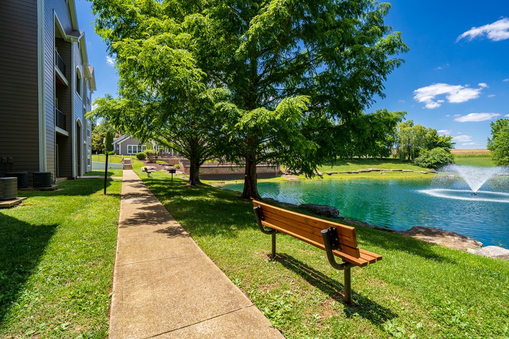 Sidewalk & Bench Along The Pond