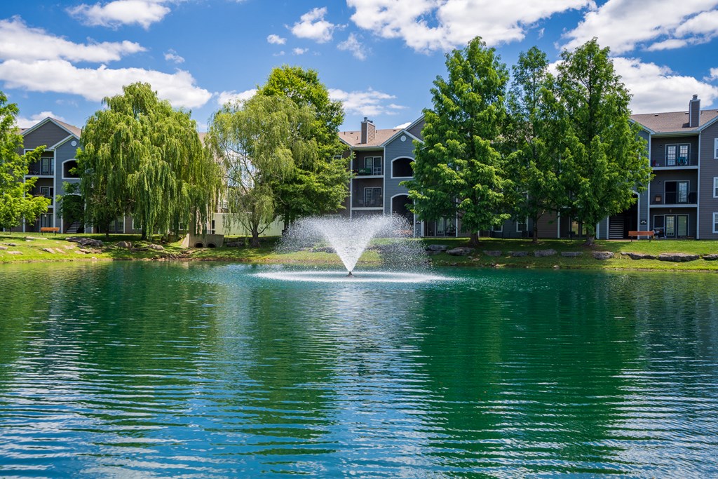 Spacious Pond With Tranquil Fountain