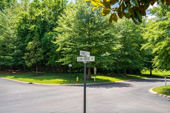 Dense Lush Trees Throughout The Community - Photo Gallery 2