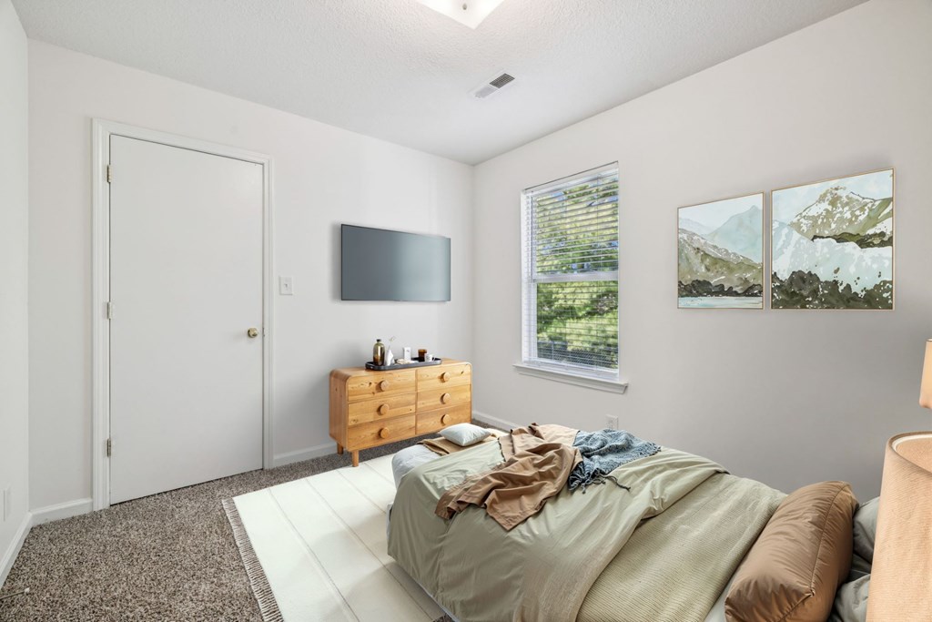 Bedroom with Plush Carpeting