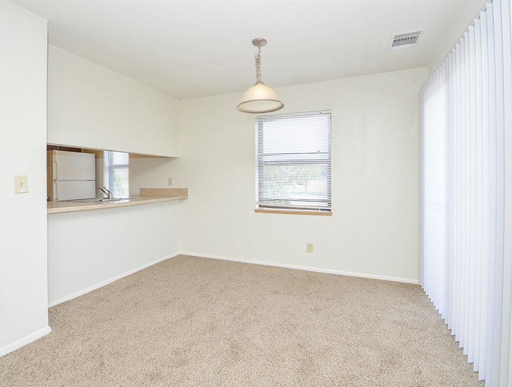 Open Layout of Living Room and Kitchen