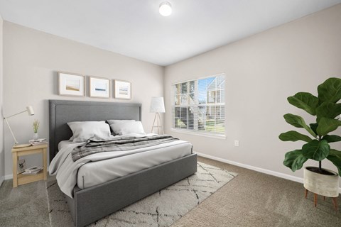 Bedroom with Plush Carpeting