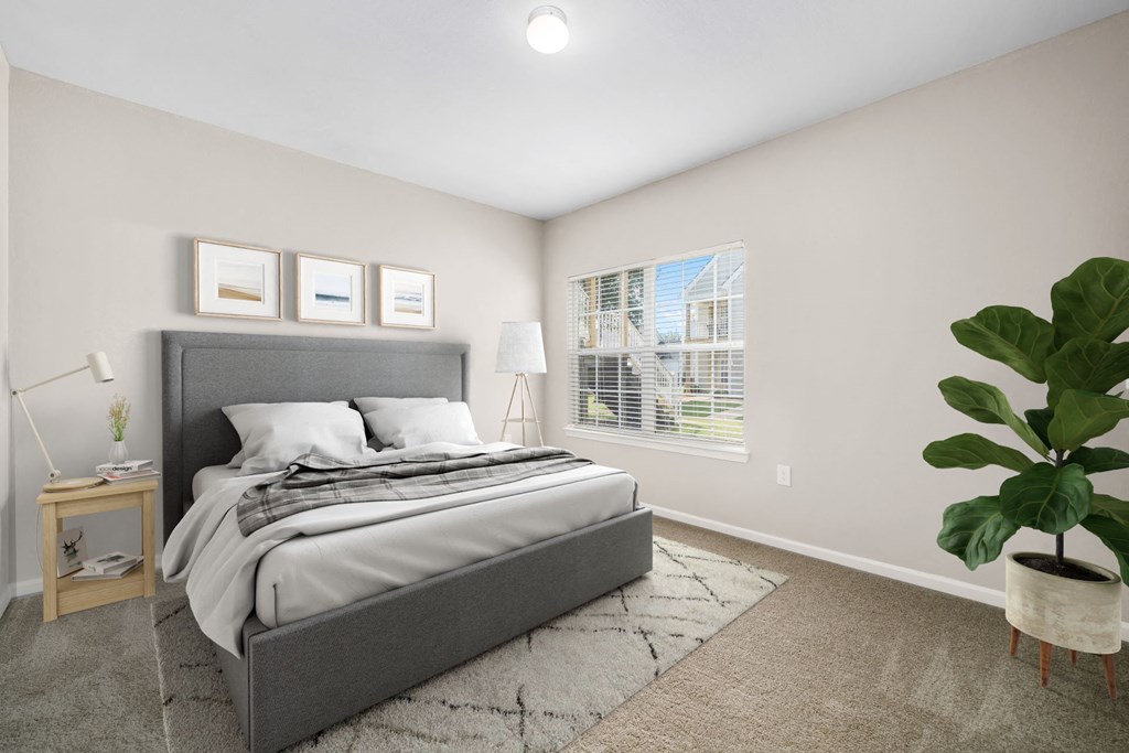 Bedroom with Plush Carpeting