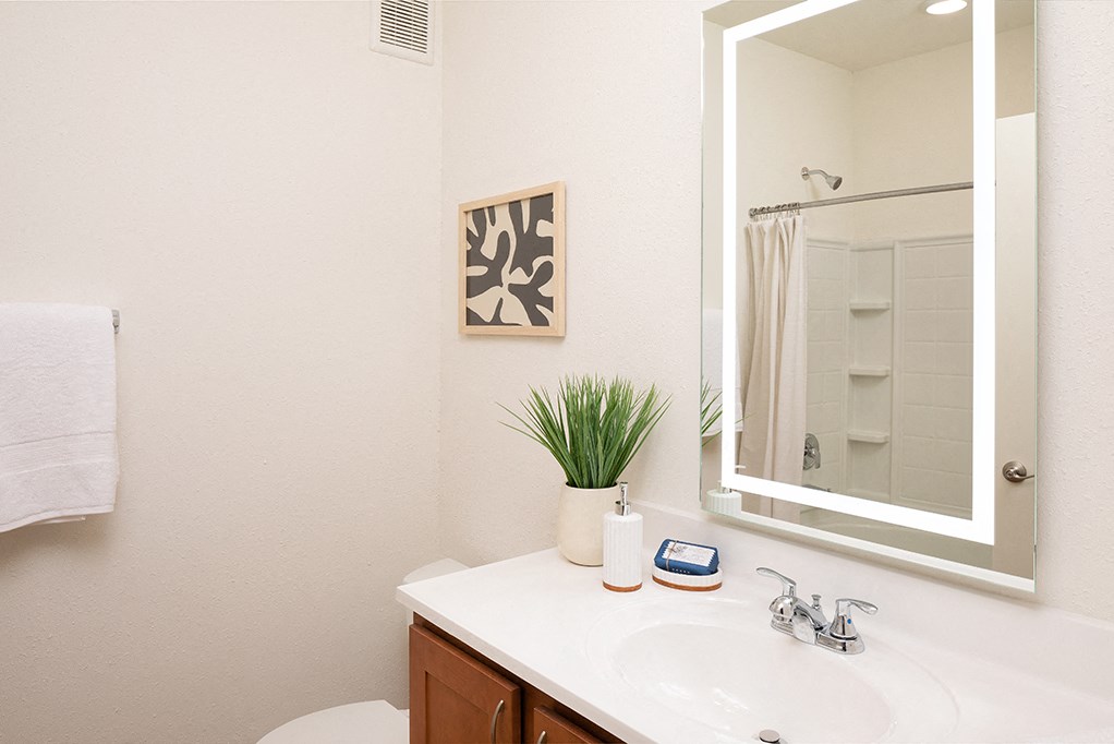 Back Lit Mirror with Large Bathroom Vanity