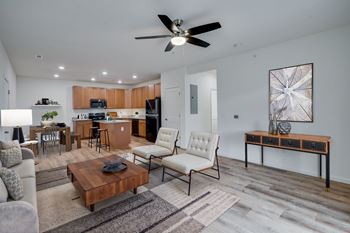 Spacious Living Area With Wood-Style Flooring