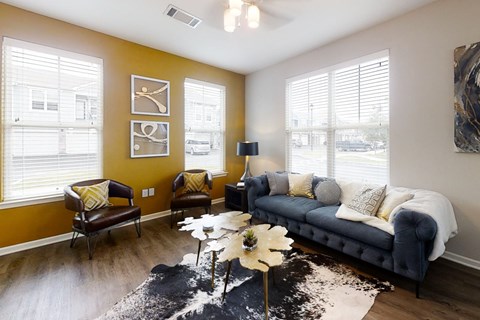 Living Room with Lots of Natural Light