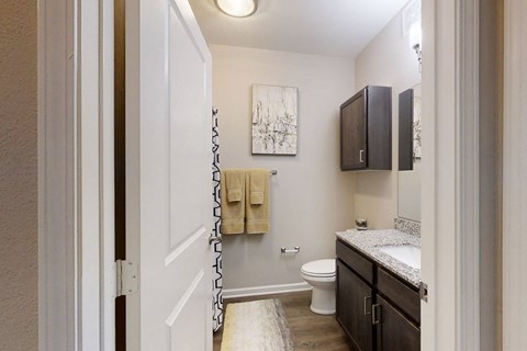 Bathroom with Vinyl Flooring and Granite