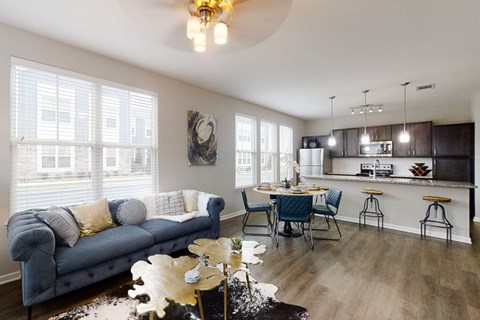 Open Concept Living Room and Kitchen