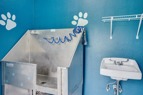 Pet Wash Station