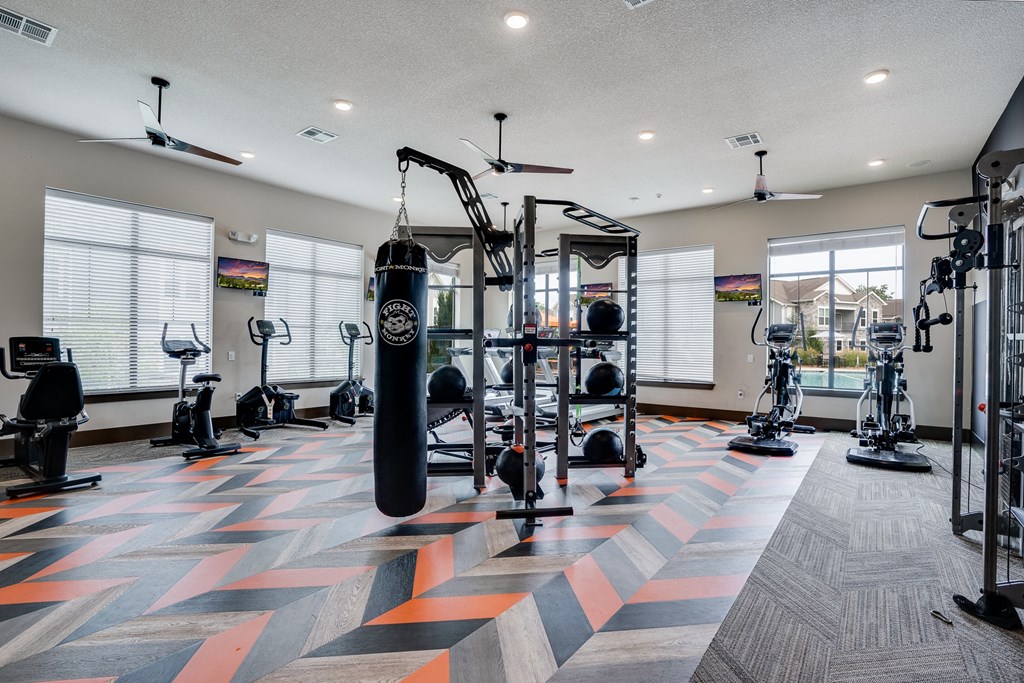 Large Weight Equipment at the Fitness Center