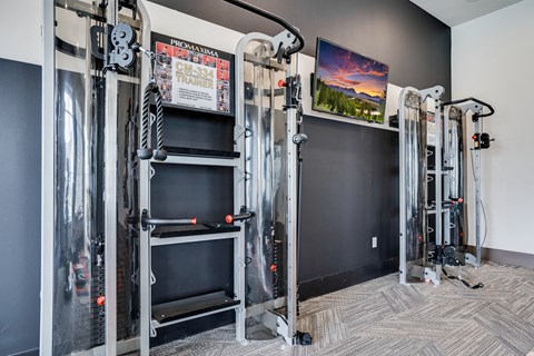 Two Large Multifunctional Trainer
