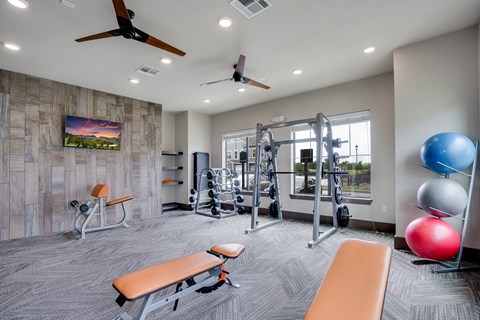Fully Equipped Fitness Center with Weights