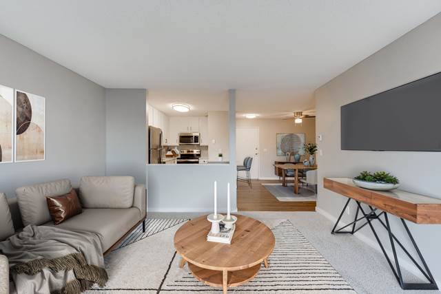 The Apex Apartments