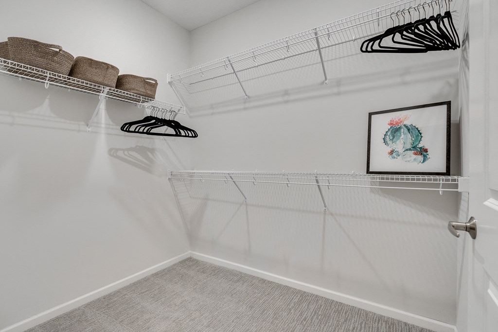 Spacious Walk-In Closet