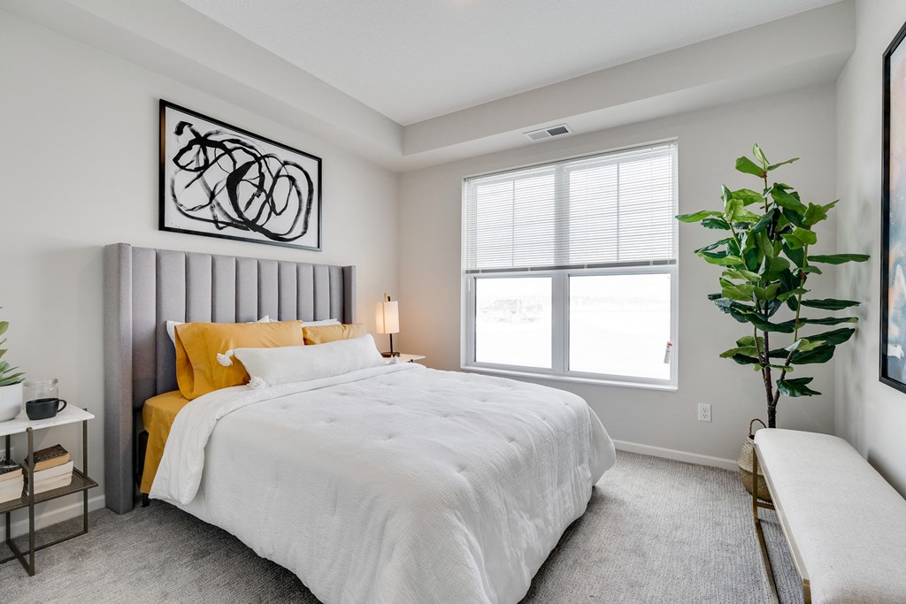 Bedroom Featuring Plush Carpet & Double Windows