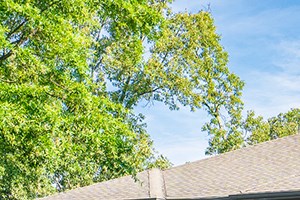 Oak Hollow Leasing Office - Photo Gallery