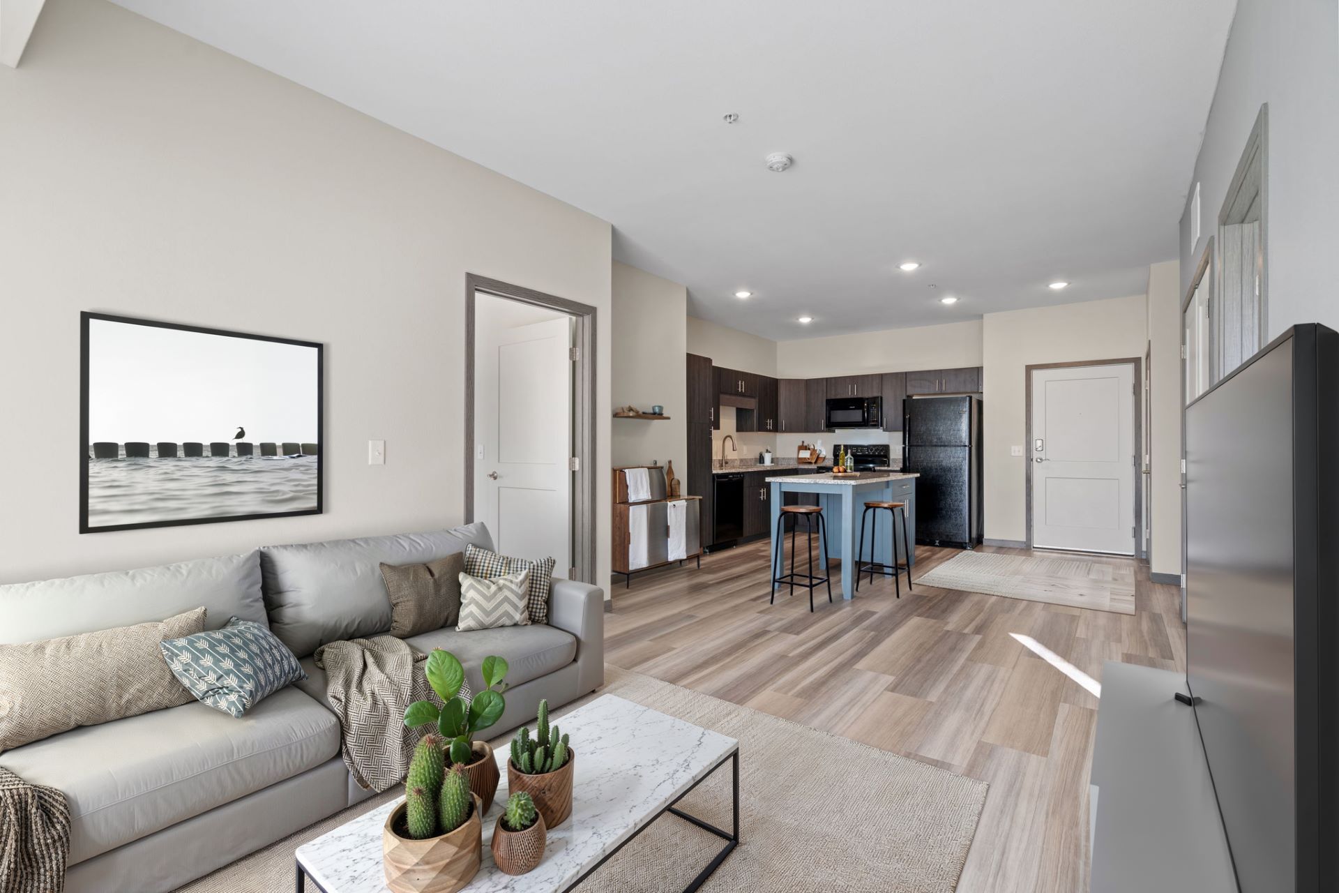 Spacious Living Area With Wood-Style Flooring