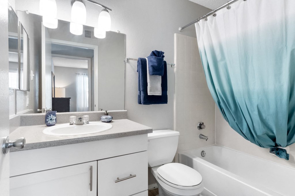 Bathroom with Modern Finishes