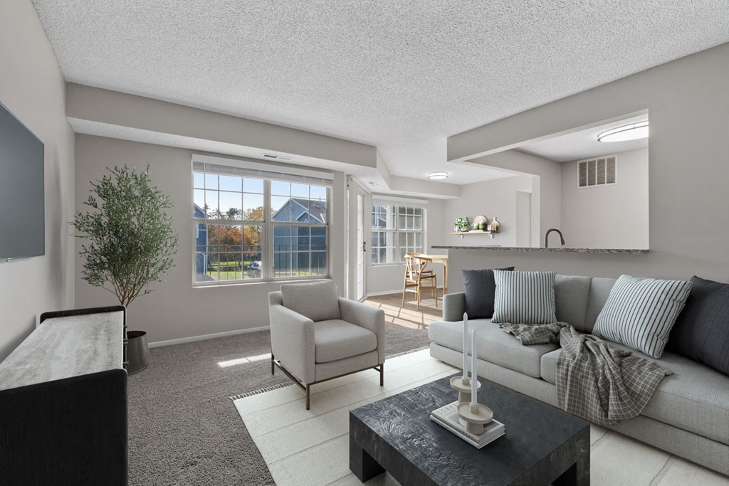 Living Room with Plush Carpeting