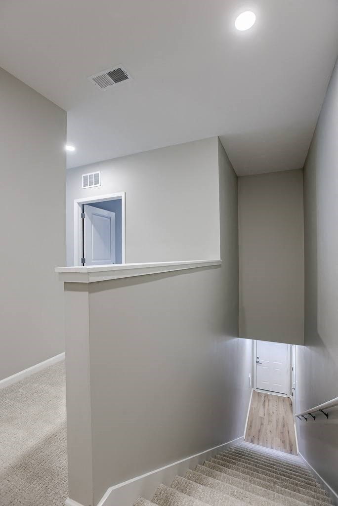 Entryway with Carpeting