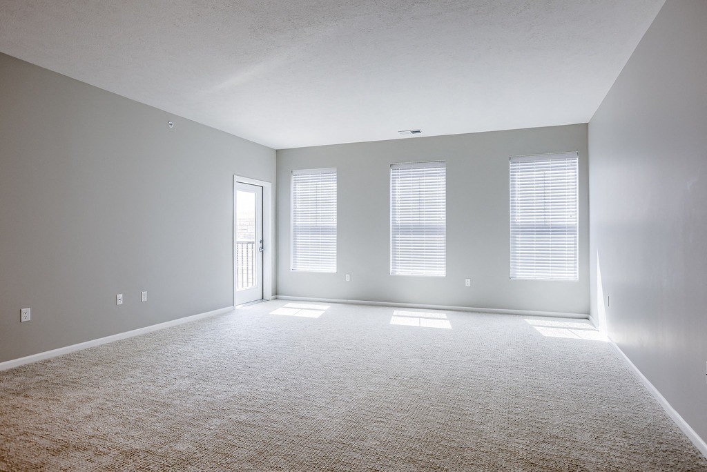 Spacious Living Area with Carpet