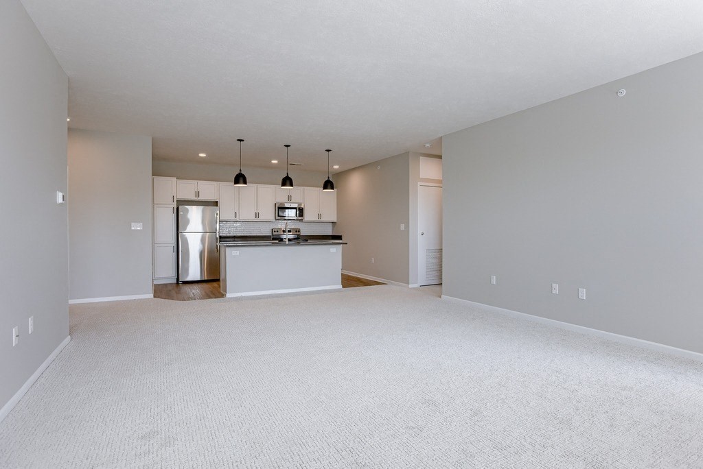 Spacious Living Area with Carpet