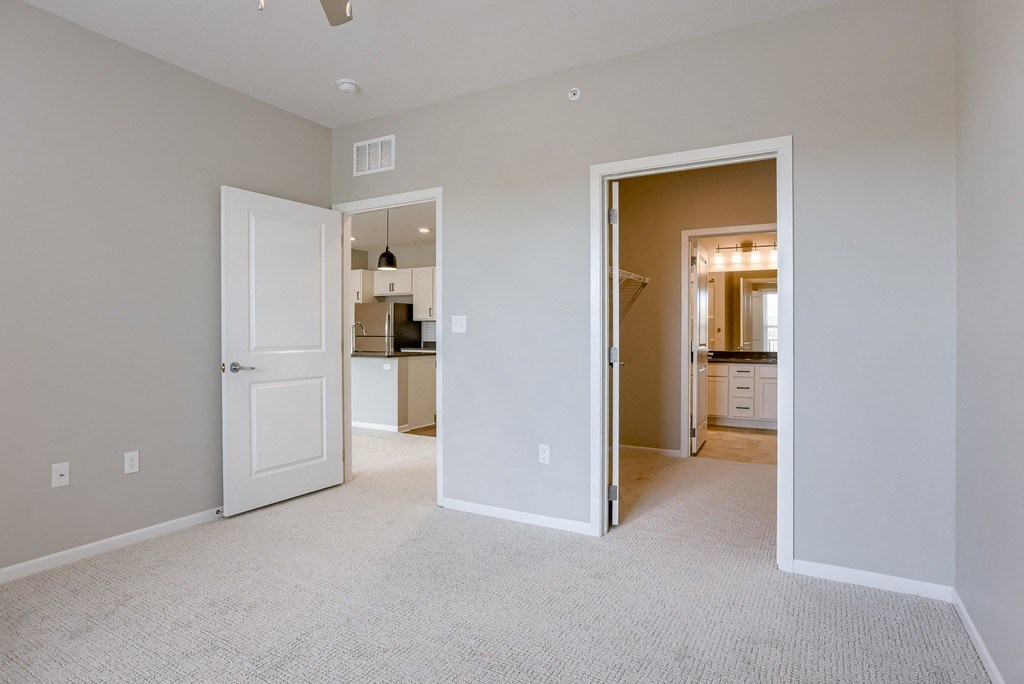 Bedroom With Walk-In Closet