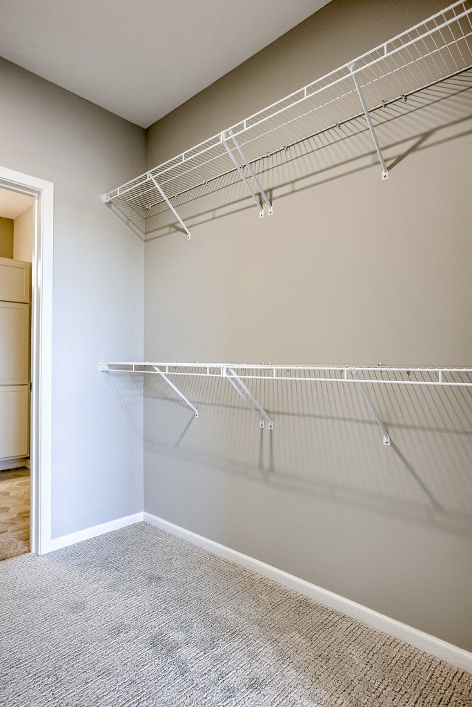 Walk-In Closet With Built-In Shelving