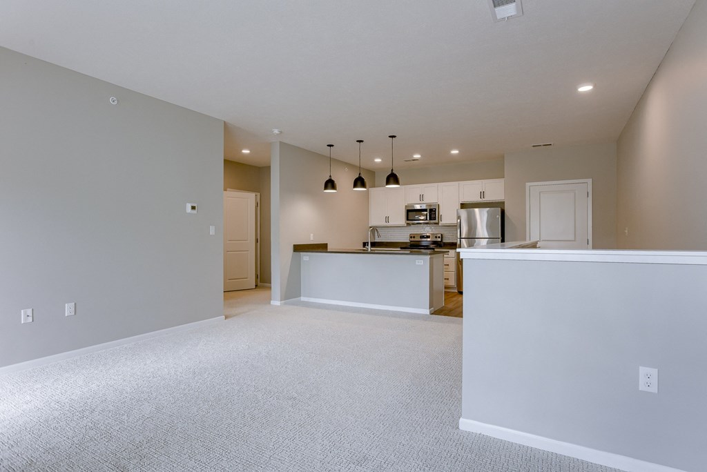 Spacious Living Area with Carpet