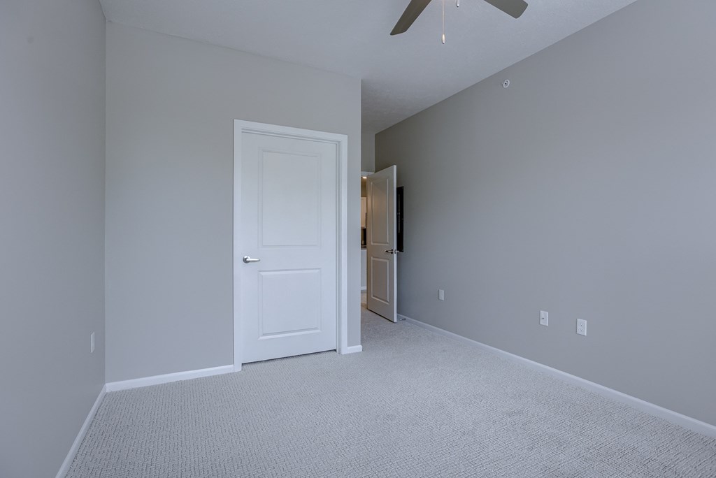 Bedroom with Plush Carpeting