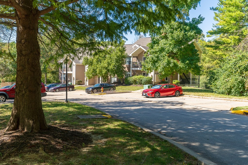 Parking Lot Area Between Apartment Buildings at Pelican Cove