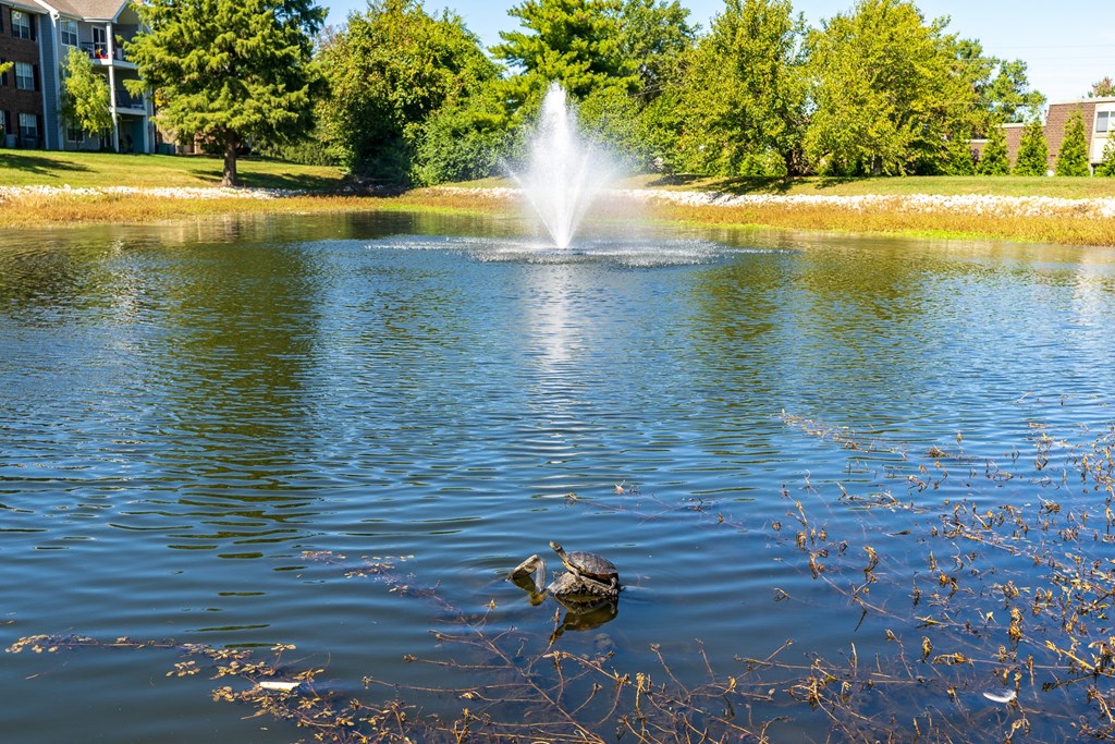 Large Pond with Fountain at Pelican Cove