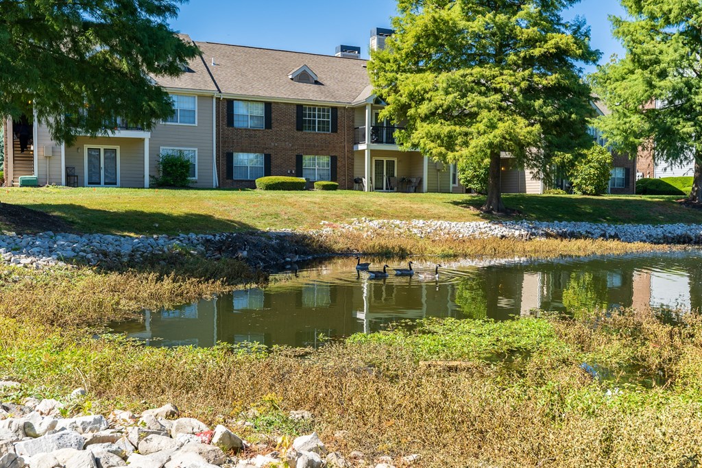 Apartment Homes at Pelican Cove Overlooking the Pond with  Wildlife