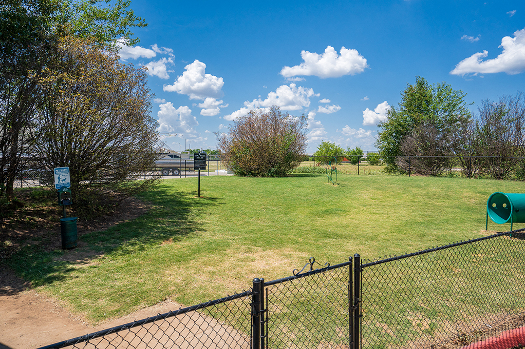 On-Premise Dog Park
