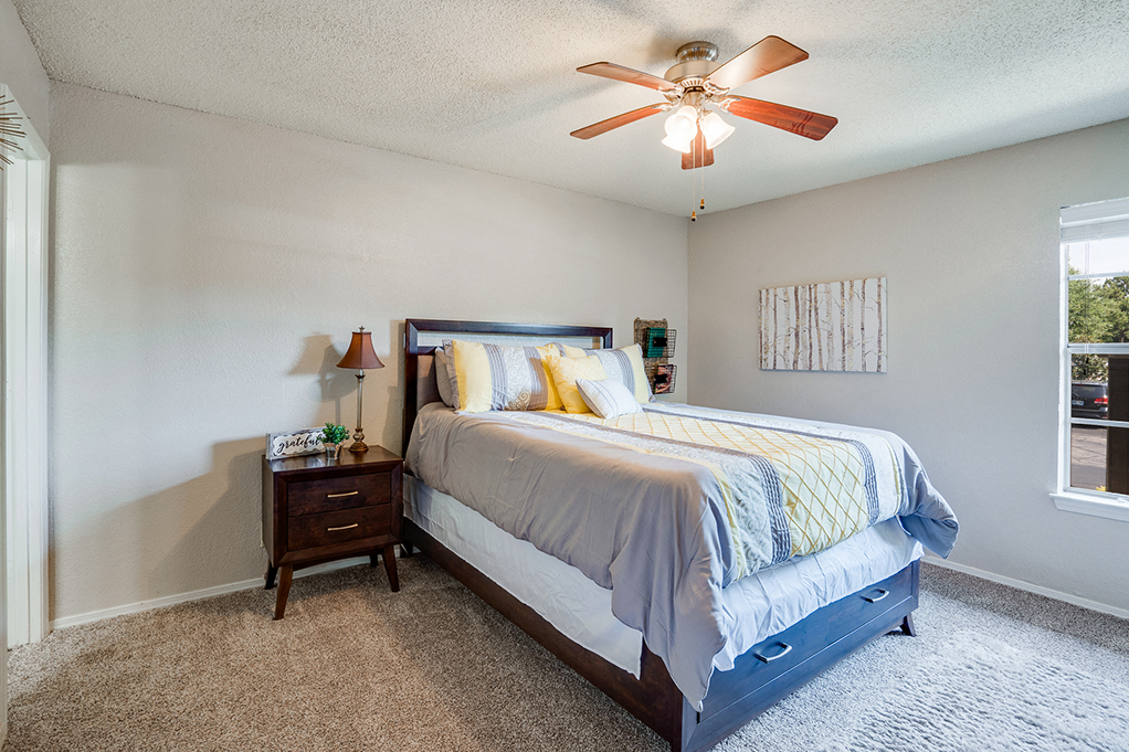 Spacious Bedroom with Plush Carpet
