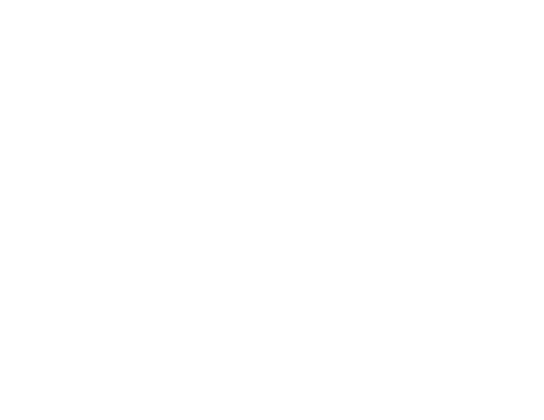 Riverchase Logo In White